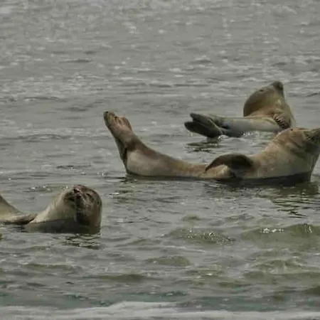 Alex - 2-4 Pers Au Calme Avec Balcon A 100m De La De