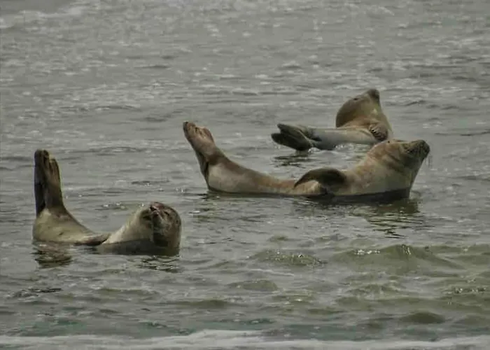Alex - 2-4 Pers Au Calme Avec Balcon A 100m De La De
